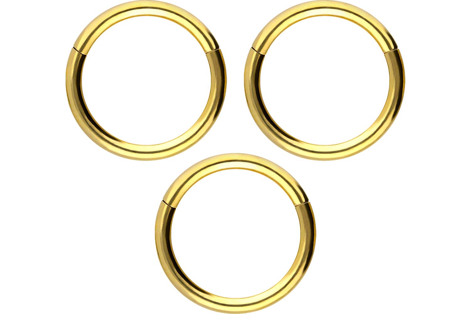 SET Titan Segmentring Clicker Piercing